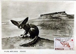 TIMBRES 1 ER JOUR (159)